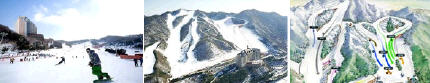 Yangji Pine Resort  / Yangji Ski Resort
